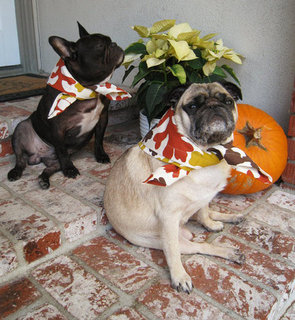 Thanksgiving Leftover Treats For Your Dog