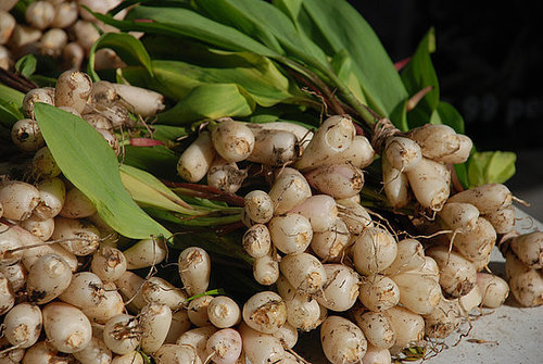 Ramps Ramps