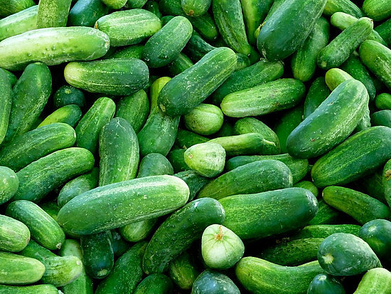 Cucumbers Cucumbers