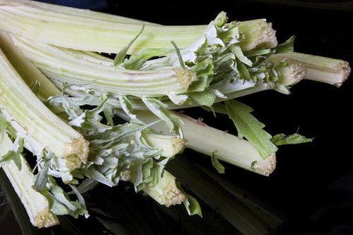 Cardoons Cardoons