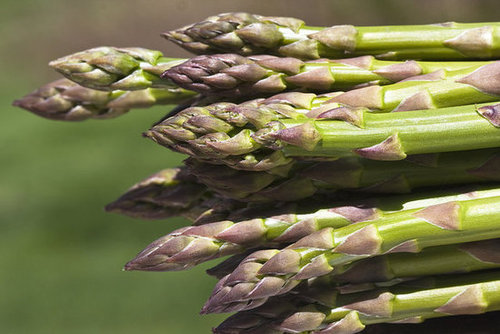 Asparagus Asparagus