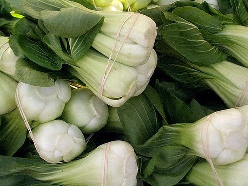 Bok Choy Bok Choy
