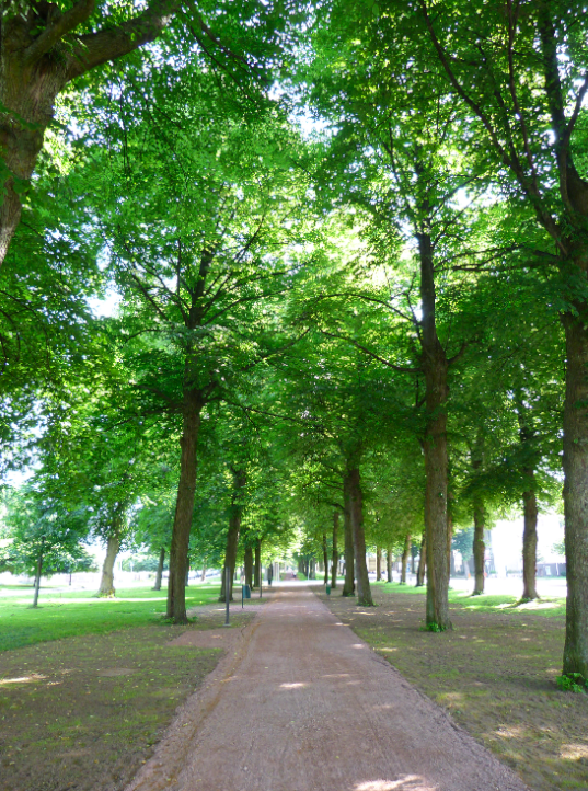 leafy walkways leafy walkways