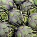 Artichokes
