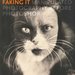 Coffee-Table Book