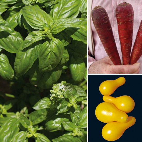 Heirloom Seeds