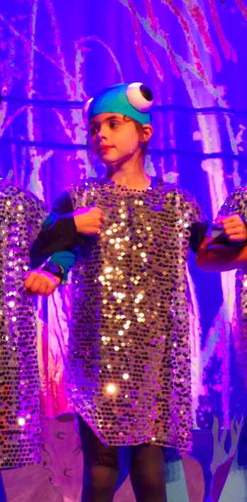 Sparkly herring Sparkly herring