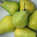 Pears