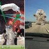 Cat Photo Apps