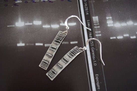 DNA ladder earrings
