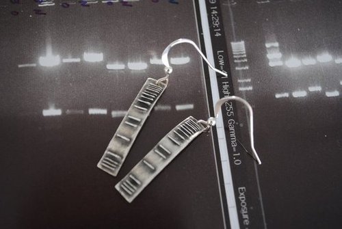 DNA Ladder Earrings DNA Ladder Earrings