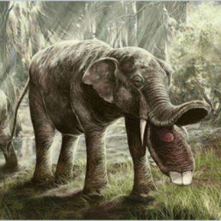 Prehistoric Animals