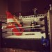 In the Ring