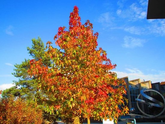 Autumn - again ;)