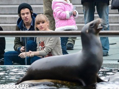 See Taylor Swift and One Direction's Harry Styles's Romantic Zoo Day! See Taylor Swift and One Direction's Harry Styles's Romantic Zoo Day!