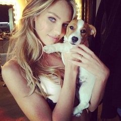 Celebrities and Their Pets