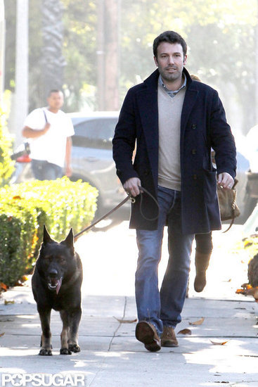 Ben Affleck walked their German Shepherd around LA.
Ben Affleck walked their German Shepherd around LA.