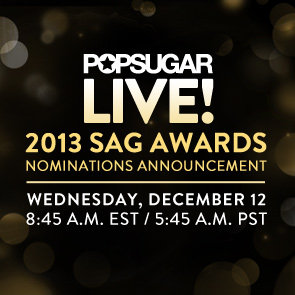 SAG Awards Nominations Announcement 2013