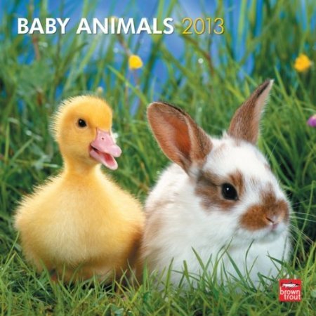 Baby Animals Baby Animals