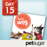 18 Days of Holiday Giveaways, Day 15: PetSugar — Win $500 to Wag.com!