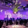 10 Creative New Year's Eve Party Ideas From Sassy Lifestyle Guru Steve Kemble