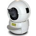 Litter Robot Automatic Self-Cleaning Litter Box