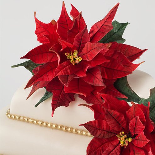 Poinsettia Cake