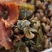 United States: Black-Eyed Peas
