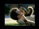 Walter, the Bodyguard Squirrel