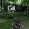 Cabin Rentals on Airbnb