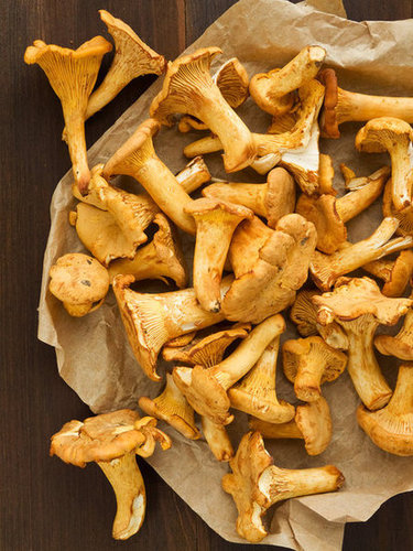 Chanterelle Mushrooms Chanterelle Mushrooms