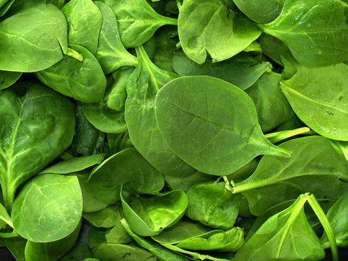 Spinach Spinach