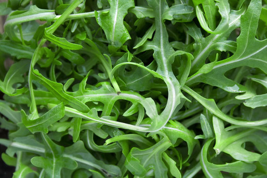 Arugula