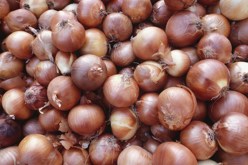 Onions Onions