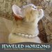 Pearl Cat Collar