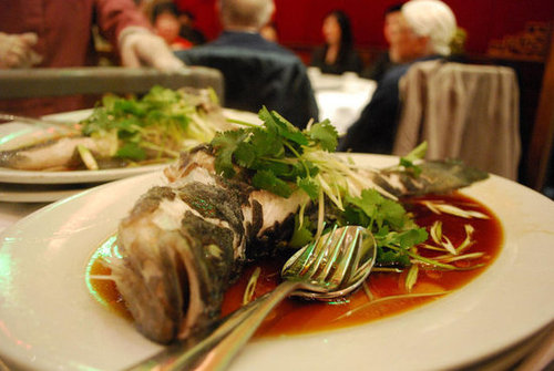 Whole Fish Whole Fish