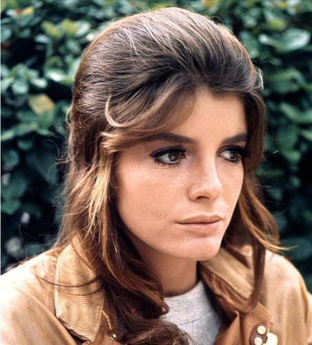 The Graduate The Graduate