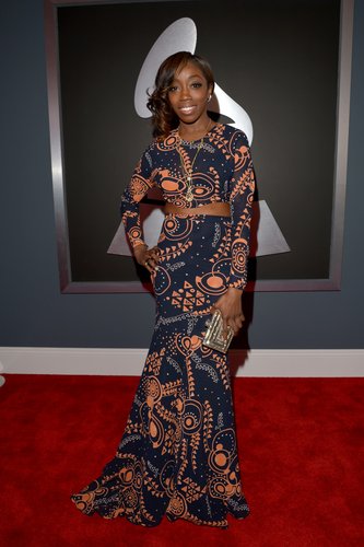 Estelle made a style statement on the Grammys red carpet.
Estelle made a style statement on the Grammys red carpet.