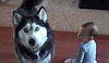 VIRAL VIDEO: 10-Month-Old Baby Sings Duet With Husky