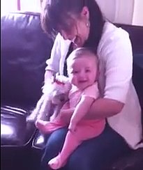 (VIDEO) Baby CRACKS UP Over Little Dog