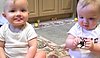 Sneezing Babies (VIDEO)