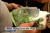 Kentucky Store Discovers Pictures of Toddlers with Marijuana Joints