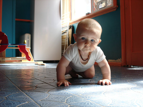 Crawling Crawling