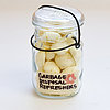 Homemade Garbage Disposal Refreshers