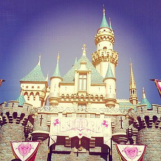 Sleeping Beauty Castle Picture