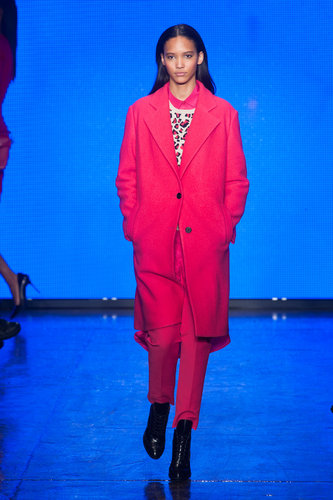 DKNY Fall 2013
DKNY Fall 2013