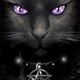 Ravenmoon3919228 Ravenmoon3919228