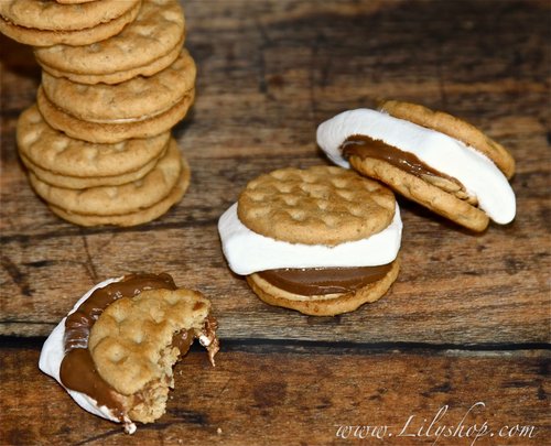 Girl Scout Cookie S'mores Girl Scout Cookie S'mores