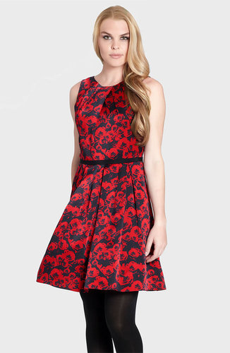 Cynthia Steffe 'Cadence' Print Pleated Fit & Flare Dress