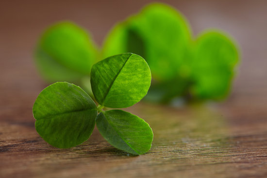 Make Leprechaun Traps